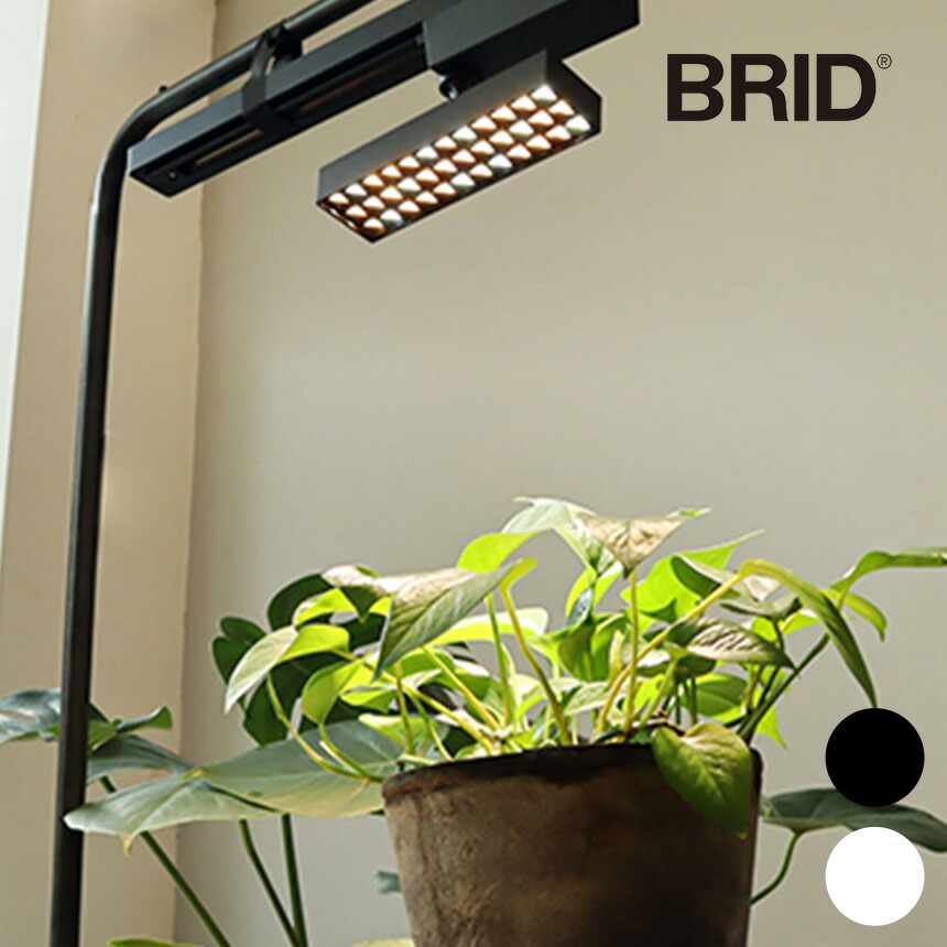 楽天市場】植物育成ライト LED SPOT LIGHT for PLANTS 20W 植物ライト