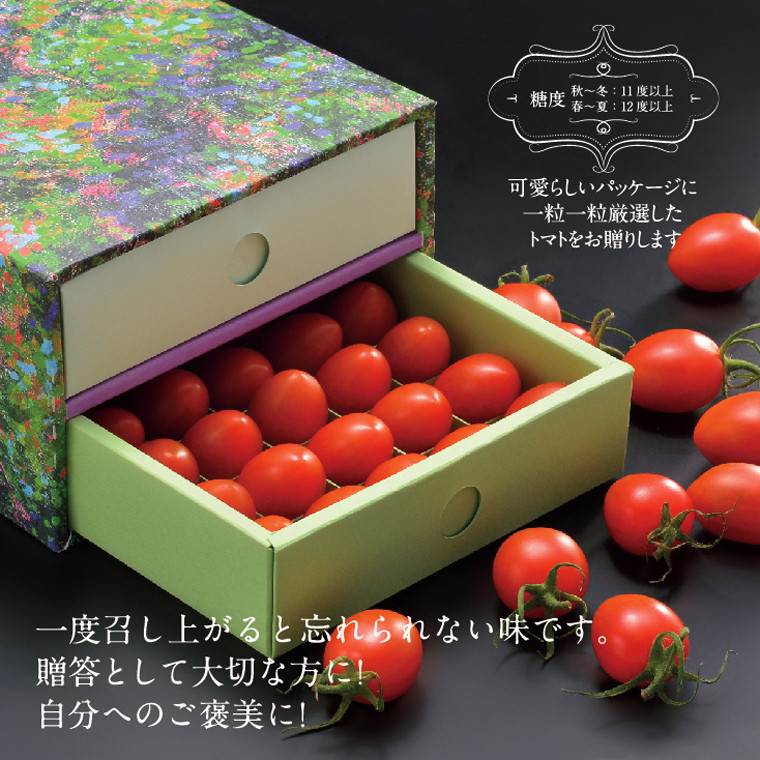 ZEPPIN EX（エクセレント）50粒 化粧箱入り ｜ G-Call ふるさと納税