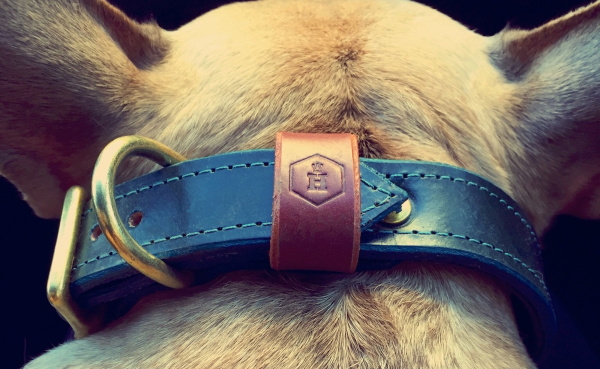 革製犬用首輪｜HOUNDWORTHY モノグラムブライドルレザードッグカラー