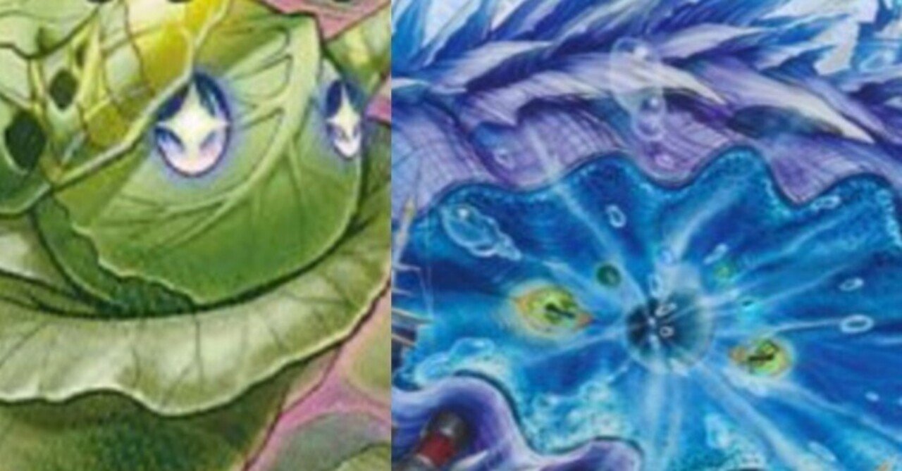 2.4倍CS優勝 シャコガイル型青緑キャベッジ｜六軒島