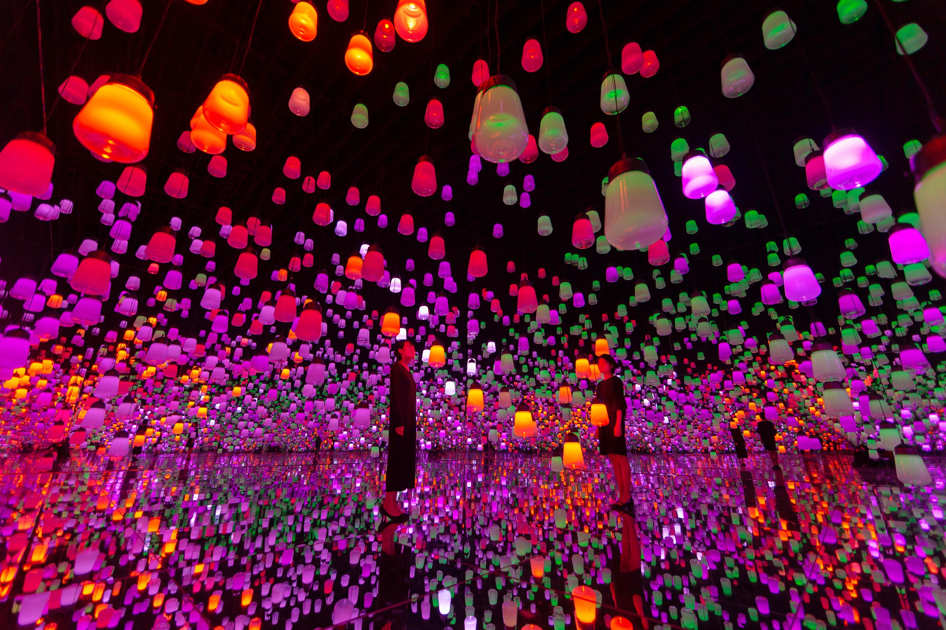 呼応するランプの森 - ワンストローク、ツツジ / Forest of Resonating