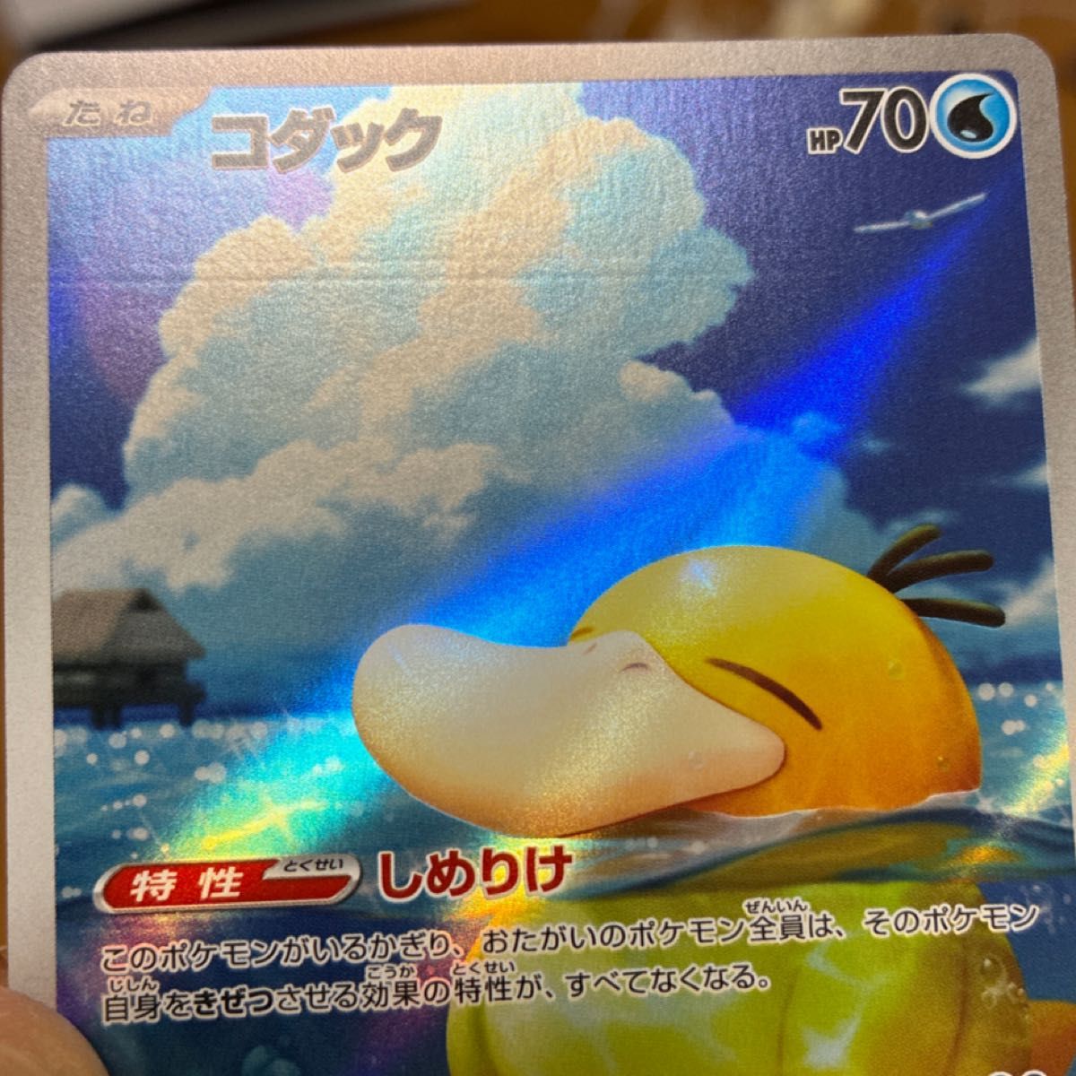 コダック AR ポケモンカードゲーム MEGAドリームex ローラー跡あり