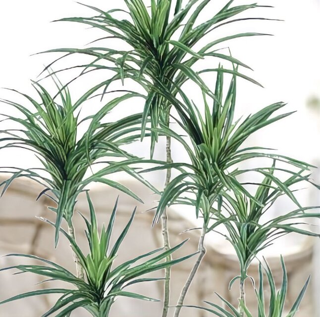 光触媒 人工観葉植物 ウォールグリーン フェイクグリーン コンシナ