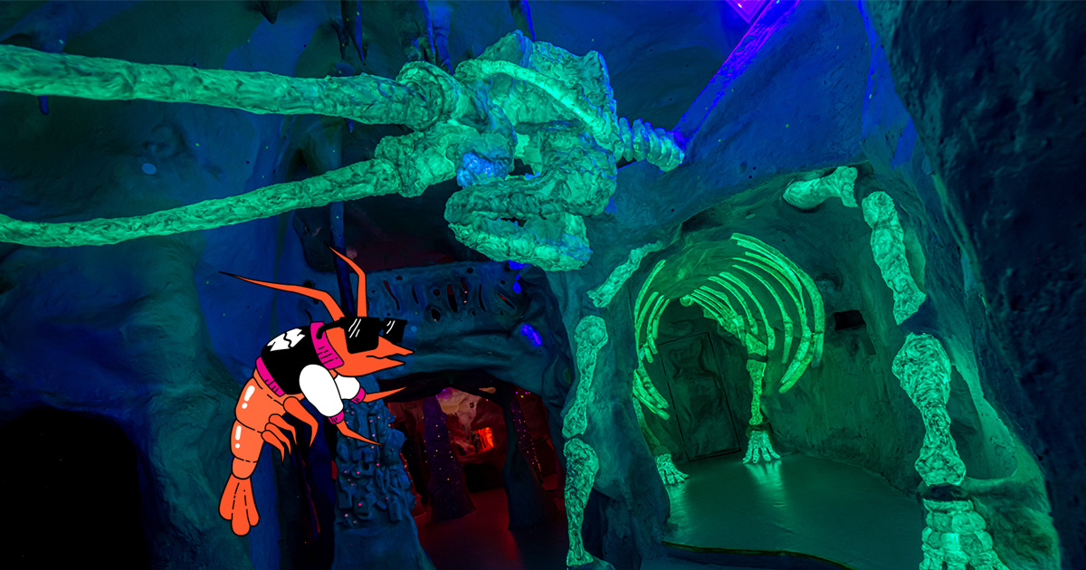 Speaketh the Oracle of Shrimphi | Meow Wolf
