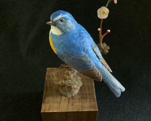 ルリビタキ・バードカービング 彫刻 ありむら工房 通販 6943805