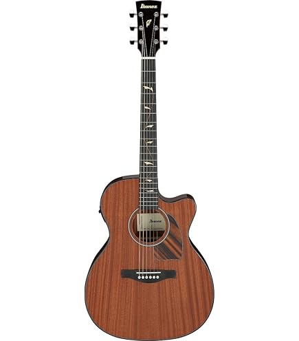 Amazon | Ibanez アイバニーズ エレクトリック アコースティックギター