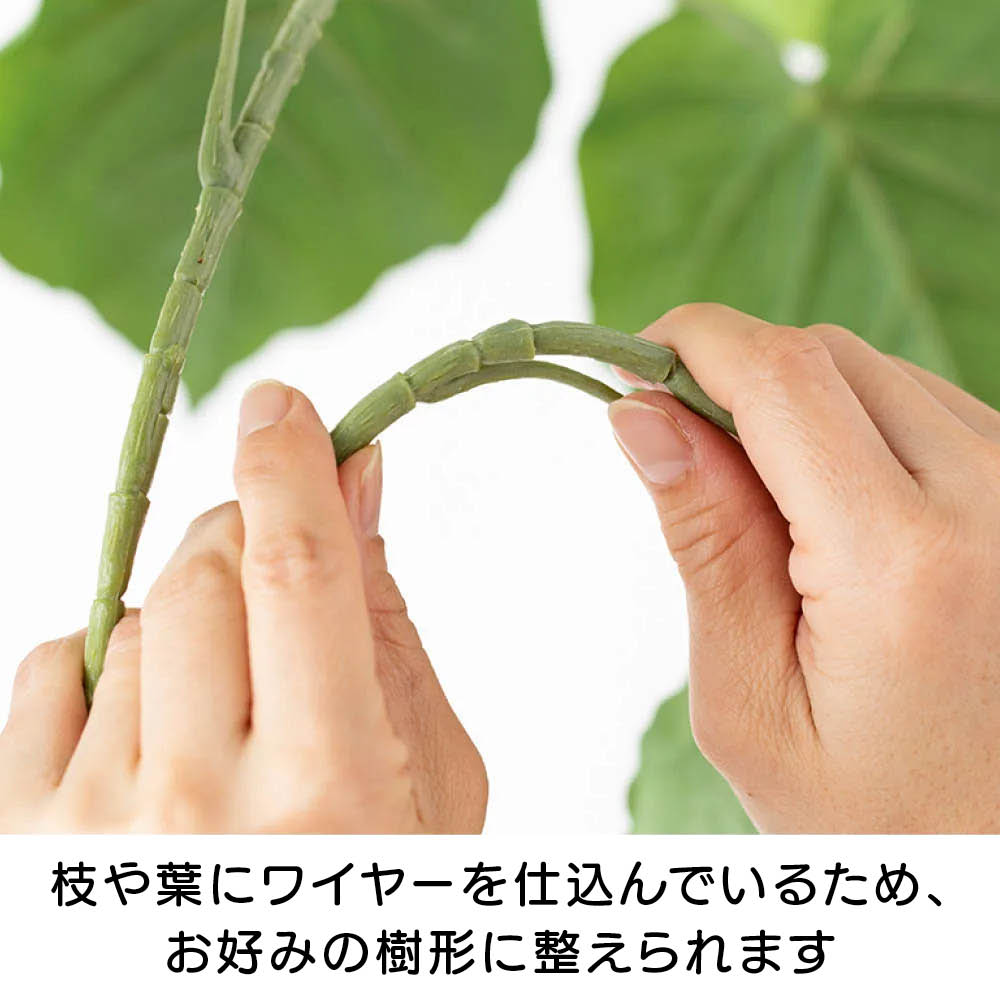 細部の質感にこだわったインテリアグリーン ウンベラータ 通販 - ディノス