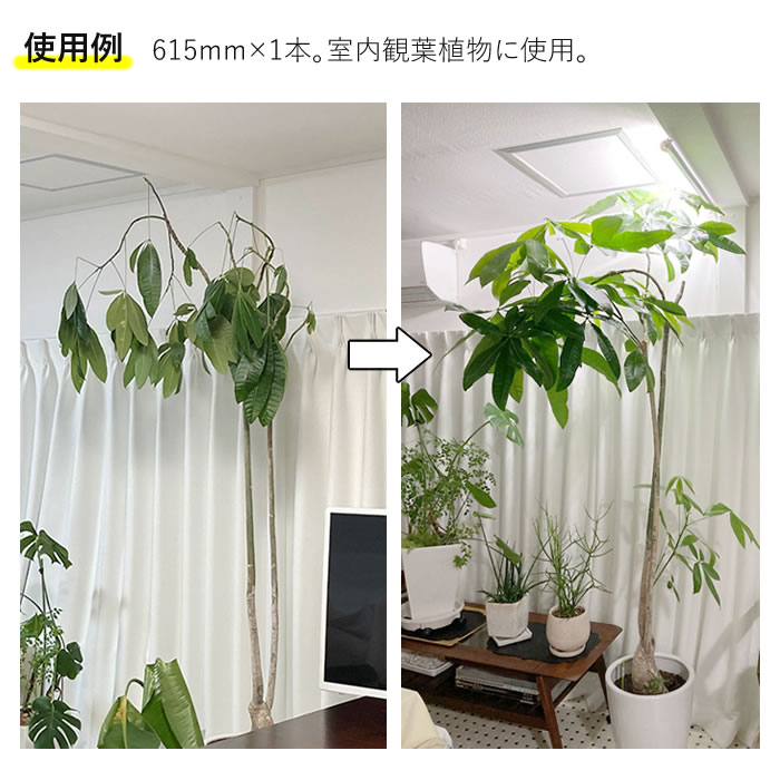 植物育成ライト LED GG 新型おやさい ライト 900mm 【1-4本専用】 - 水