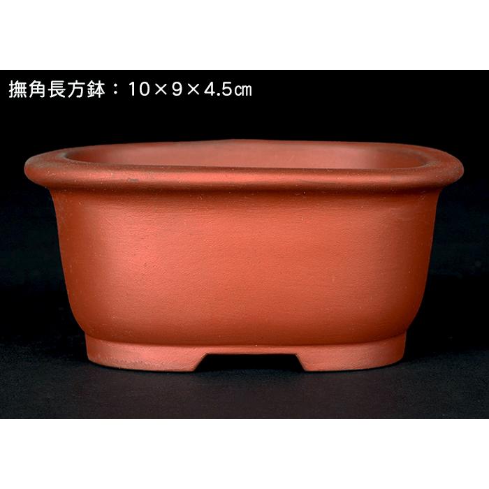 盆栽鉢 「瀬戸焼文山窯朱泥鉢3点セット」 植木鉢 泥鉢 焼締 4号 11cm