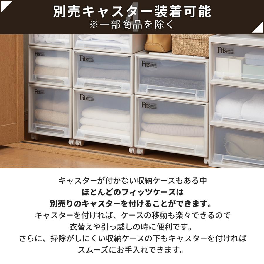 天馬 収納ケース 衣装ケース フィッツケース クローゼット S-30