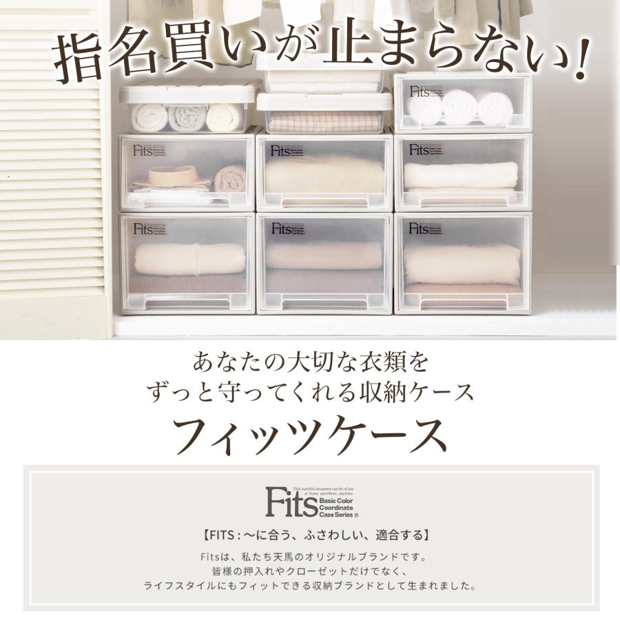 天馬 収納ケース 衣装ケース フィッツケース クローゼット S-30