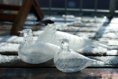 iittala Birds by Toikka -Mediator Dove : buckの気ままなblog。