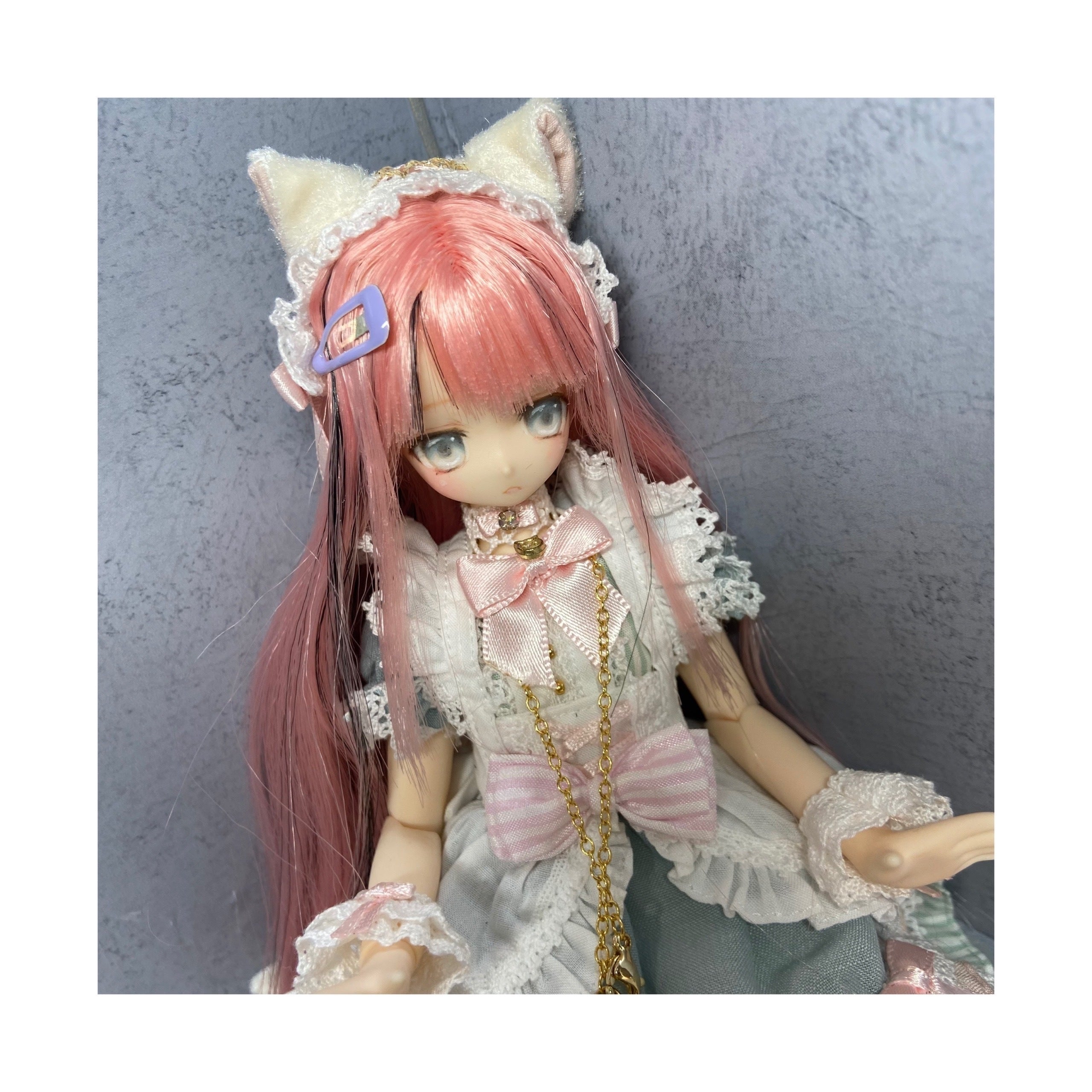 かわいいで溢れるプロのカスタムドール作家になりたい！ - CAMPFIRE
