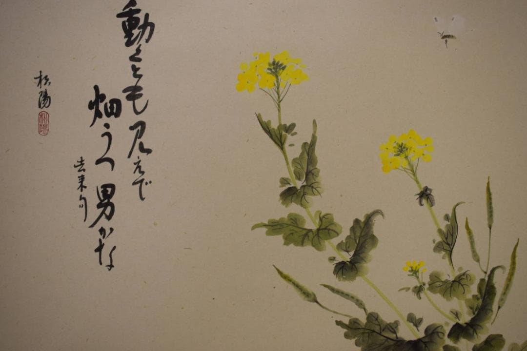 真作/松陽/なの花画賛/桐共箱付/布袋屋掛軸HG-822 真作/松陽/なの花画賛/桐共箱付/布袋屋掛軸HG-822｜