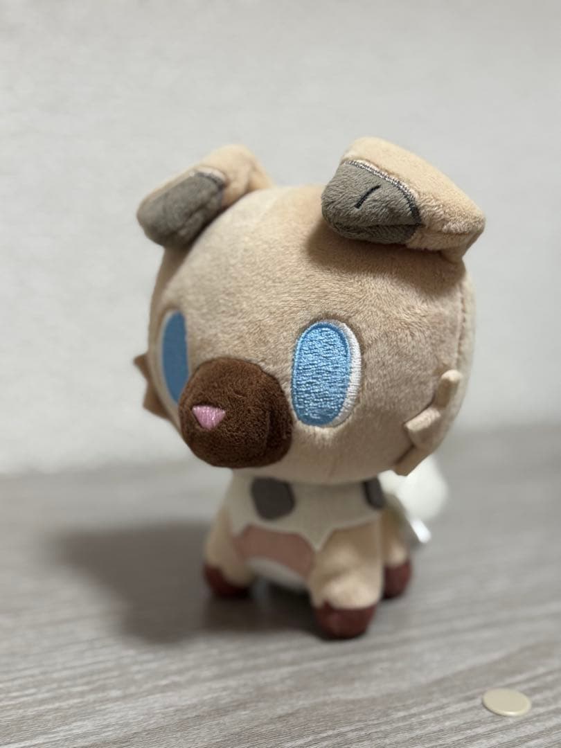 イワンコ ポケモンドールズ ぬいぐるみ Amazon.co.jp: ポケモンセンターオリジナル ポケモンドールズ イワンコ