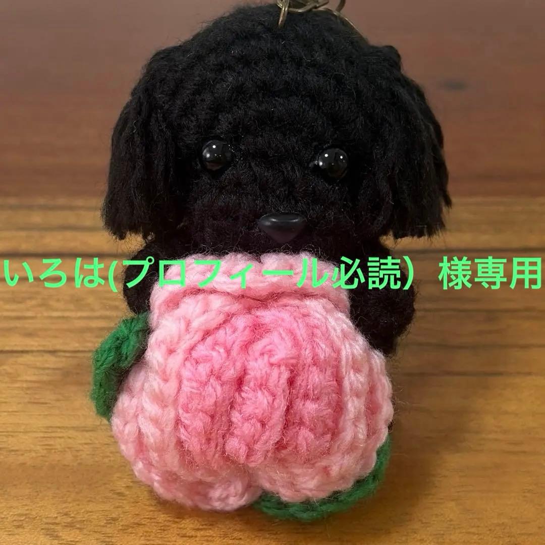 トイプードル あみぐるみ バラ ✨いろは(プロフィール必読）✨ H301-515 手芸パック トイプードルの親子 - ハマナカ商店