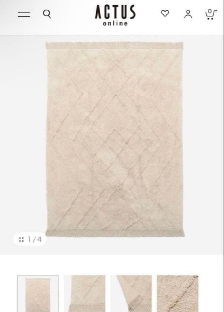 ACTUS アクタス ラグ　カーペット　マット 231011_028_.jpg