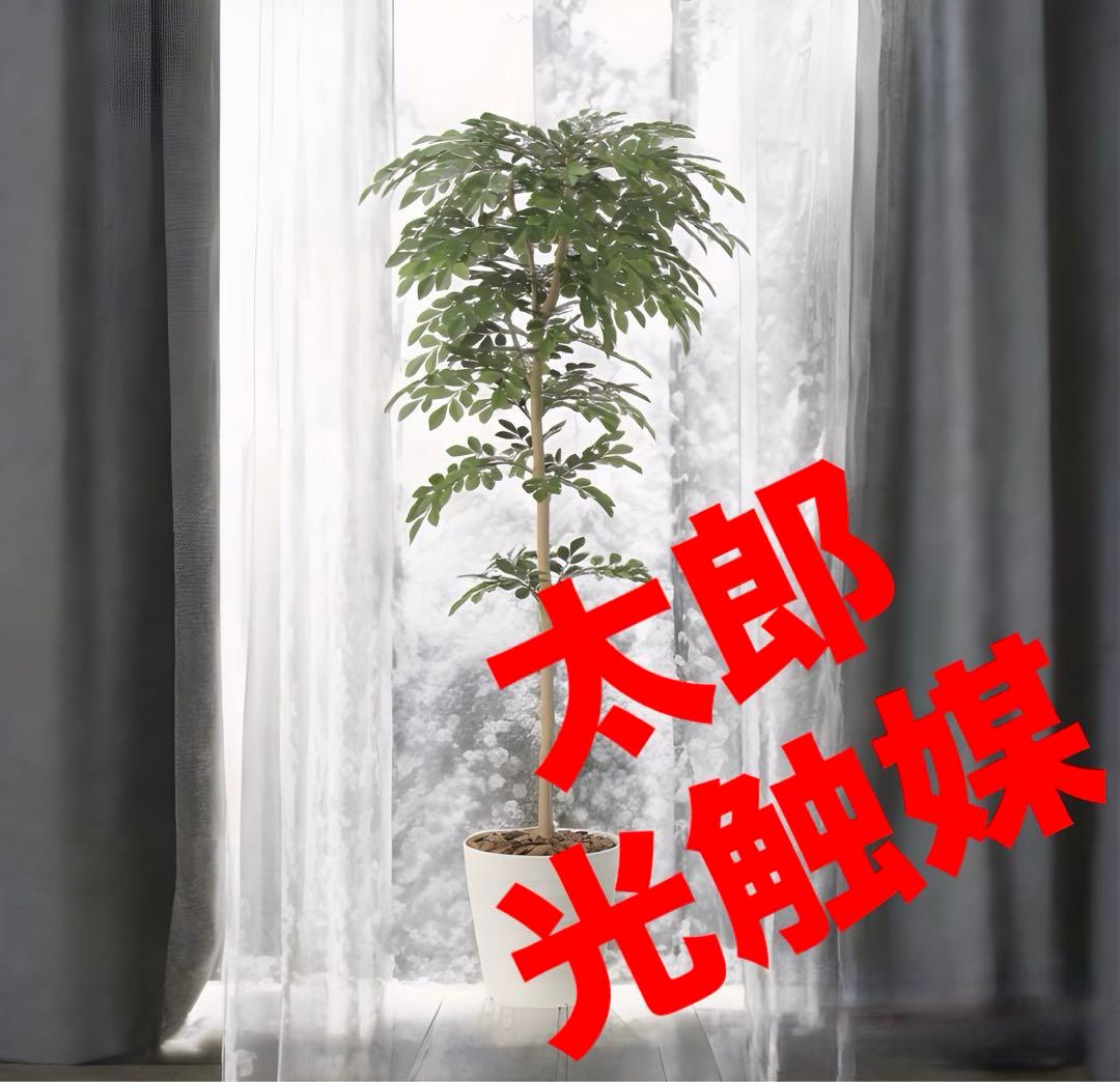 光触媒　人工観葉植物　ウォールグリーン　フェイクグリーン　トネリコ1.3 光触媒 光の楽園 トネリコ 1.2m【インテリア フェイクグリーン 人工