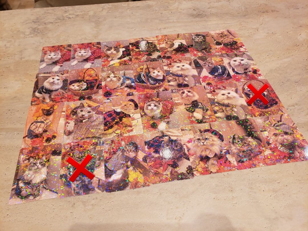 MOCHA　羽生　2025　秋　トレカ グッズ販売のお知らせ | お知らせ/メディア掲載情報