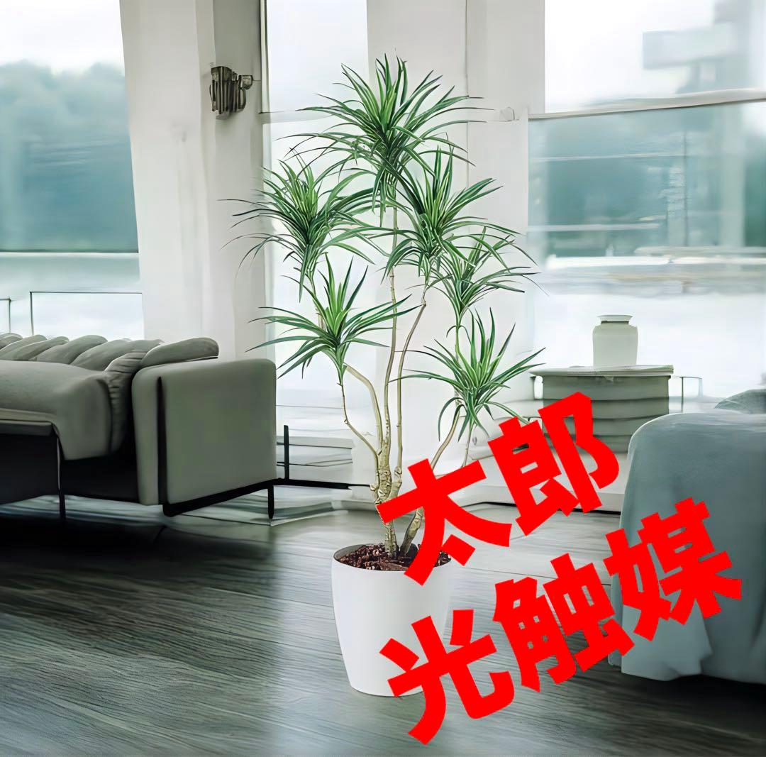 光触媒　人工観葉植物　ウォールグリーン　フェイクグリーン　コンシナトリコロル14 光触媒 人工観葉植物 ウォールグリーン フェイクグリーン コンシナ